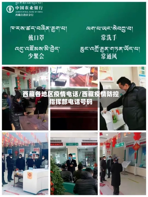 西藏各地区疫情电话/西藏疫情防控指挥部电话号码-第2张图片