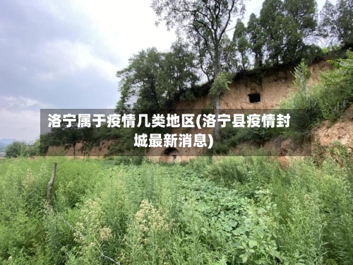 洛宁属于疫情几类地区(洛宁县疫情封城最新消息)-第2张图片