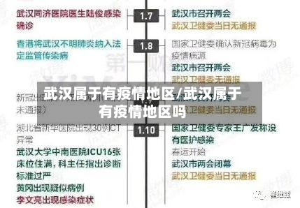 武汉属于有疫情地区/武汉属于有疫情地区吗-第2张图片