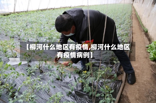 【柳河什么地区有疫情,柳河什么地区有疫情病例】-第1张图片