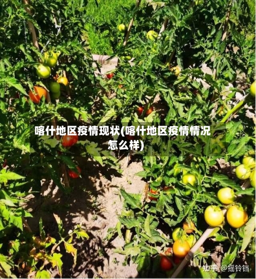 喀什地区疫情现状(喀什地区疫情情况怎么样)-第2张图片