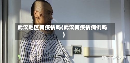 武汉地区有疫情吗(武汉有疫情病例吗)-第1张图片