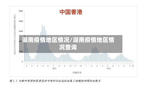 湖南疫情地区情况/湖南疫情地区情况查询-第1张图片
