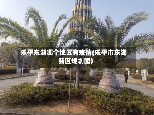 乐平东湖哪个地区有疫情(乐平市东湖新区规划图)-第1张图片