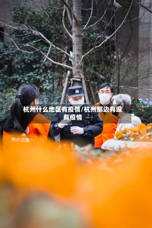 杭州什么地区有疫情/杭州那边有没有疫情-第3张图片