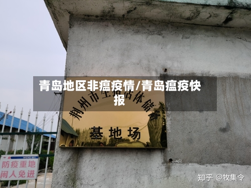 青岛地区非瘟疫情/青岛瘟疫快报-第1张图片