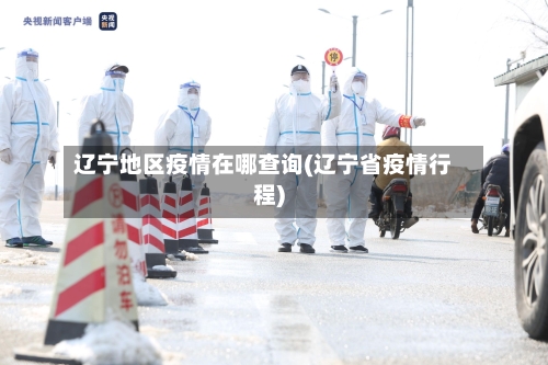 辽宁地区疫情在哪查询(辽宁省疫情行程)-第1张图片