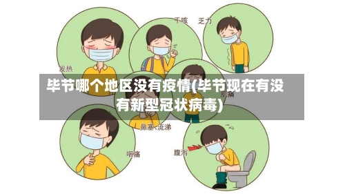 毕节哪个地区没有疫情(毕节现在有没有新型冠状病毒)-第3张图片