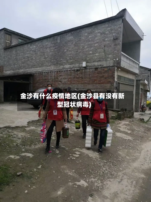 金沙有什么疫情地区(金沙县有没有新型冠状病毒)-第1张图片