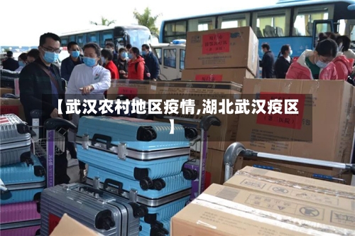 【武汉农村地区疫情,湖北武汉疫区】-第3张图片