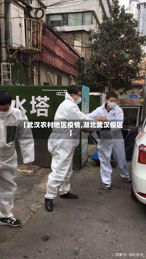 【武汉农村地区疫情,湖北武汉疫区】-第2张图片