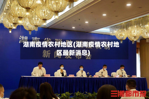 湖南疫情农村地区(湖南疫情农村地区最新消息)-第3张图片