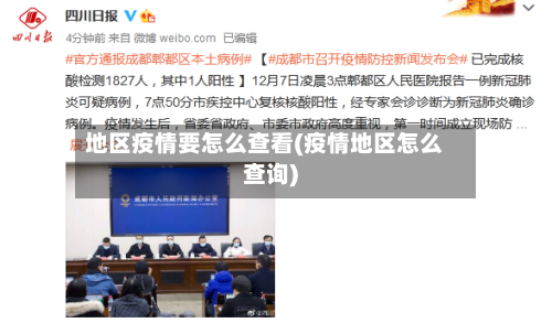 地区疫情要怎么查看(疫情地区怎么查询)-第1张图片